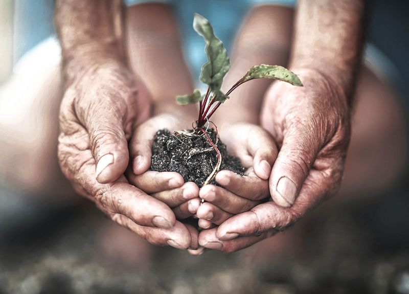Das Thema Umweltschutz ist bei Mahr in einem zertifizierten Umwelt-Management-System verankert.